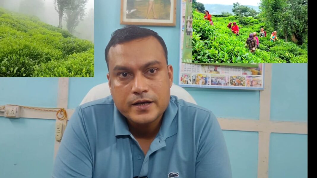 बराक घाटी के लगभग 25 फीसदी चाय बागानों में बोनस देने की प्रक्रिया है लंबित,…तो ये है कारण